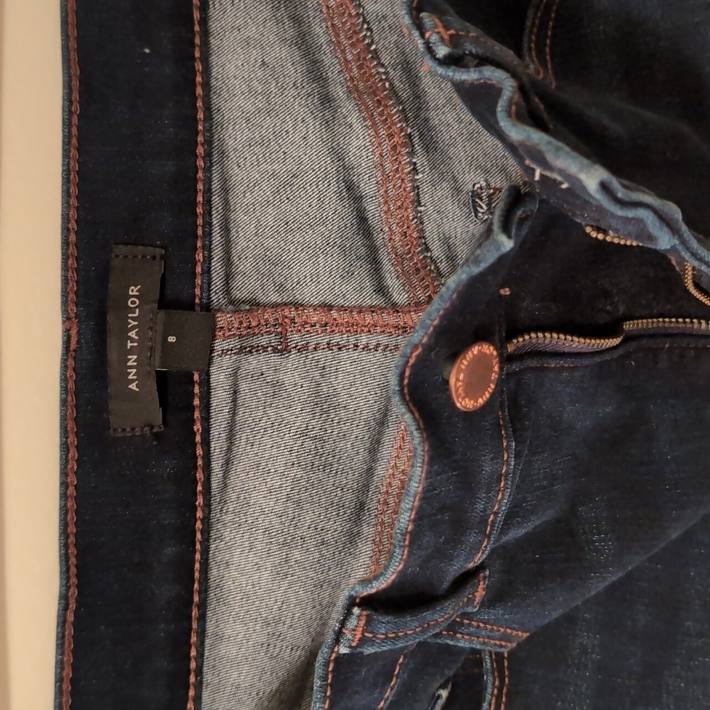 Anne Taylor Skinny Jeans